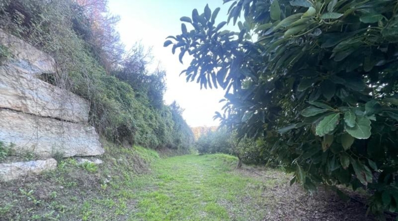 Málaga - Estepona - 12200m2