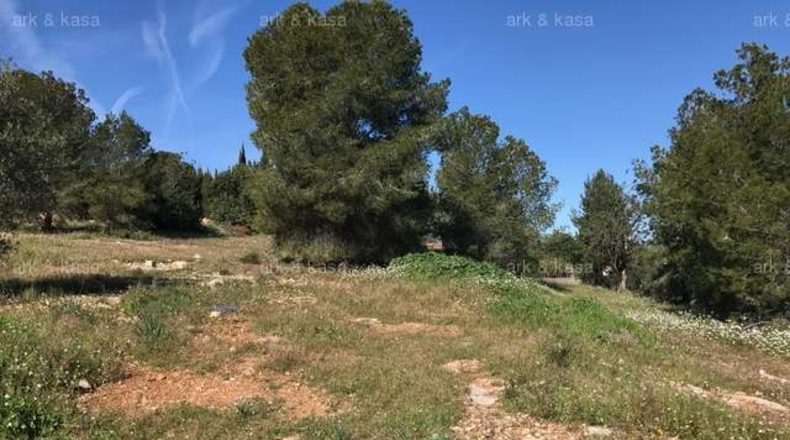 València - Torrente - 5000m2