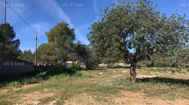 València - Torrente - 5000m2