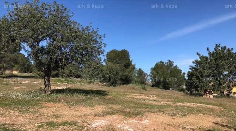 València - Torrente - 5000m2