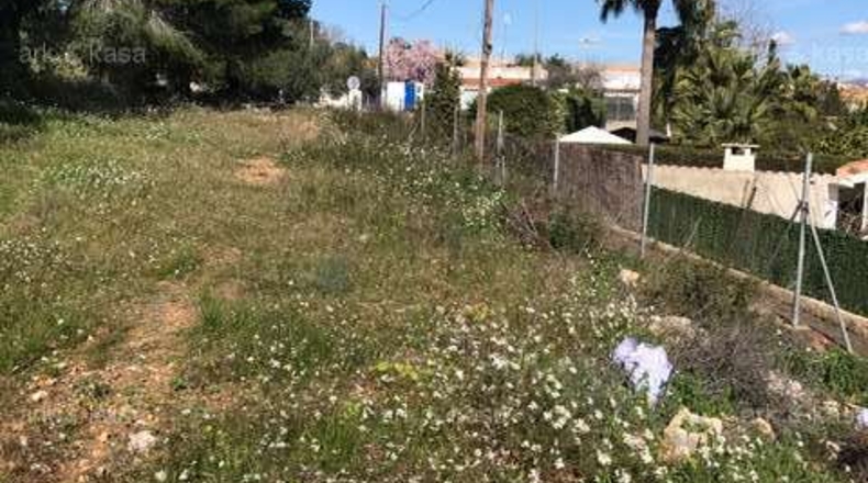 València - Torrente - 5000m2