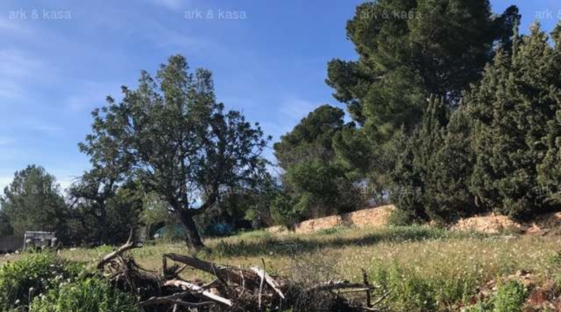 València - Torrente - 5000m2