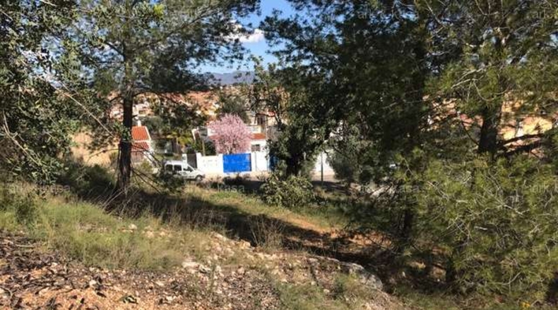 València - Torrente - 5000m2