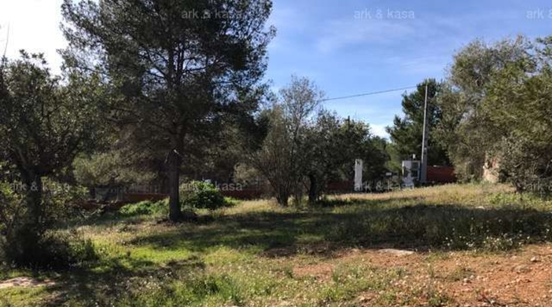 València - Torrente - 5000m2