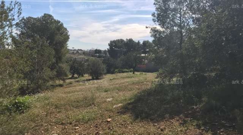 València - Torrente - 5000m2