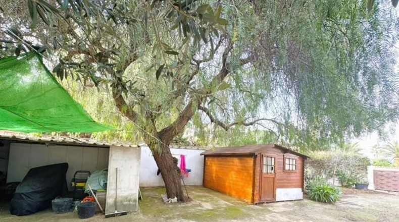 Alicante - Dénia - 865m2