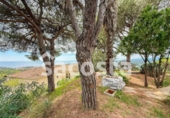 Casa de campo con terreno en venta en la España, Lloret de Mar, ref: TR337162 foto
