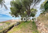 Casa de campo con terreno en venta en la España, Lloret de Mar, ref: TR337162 foto