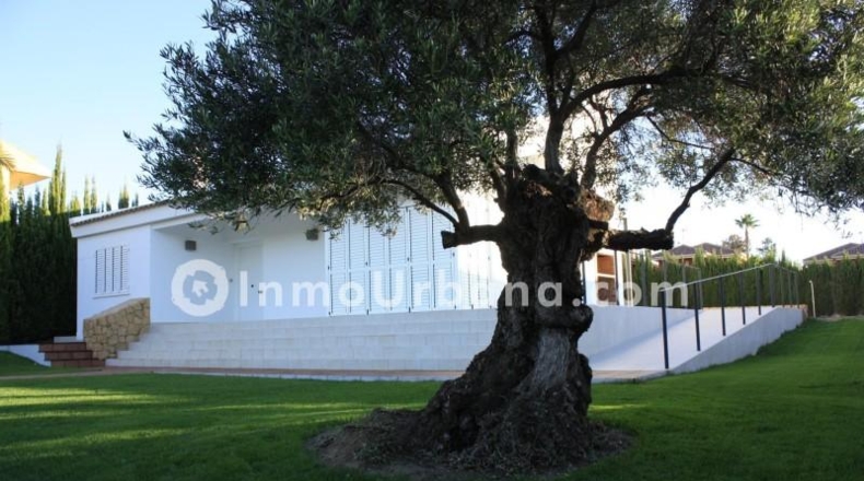 Alicante - Monforte del Cid - 1200m2