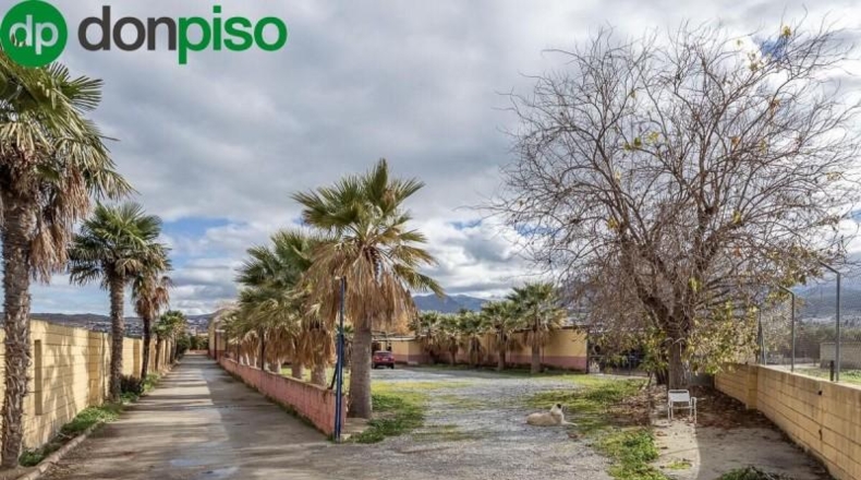Granada - La Zubia - 6340m2