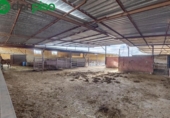 Xalet independent amb terreny en venda a la España, La Zubia, ref.: TR238908 foto
