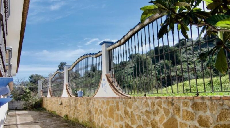 Málaga - Málaga - 1000m2