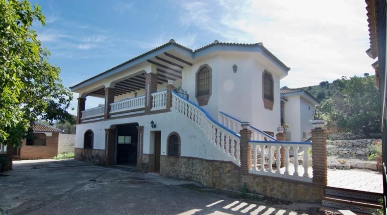Málaga - Màlaga - 1000m2