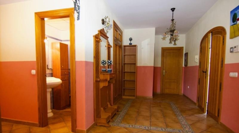 Málaga - Màlaga - 1000m2
