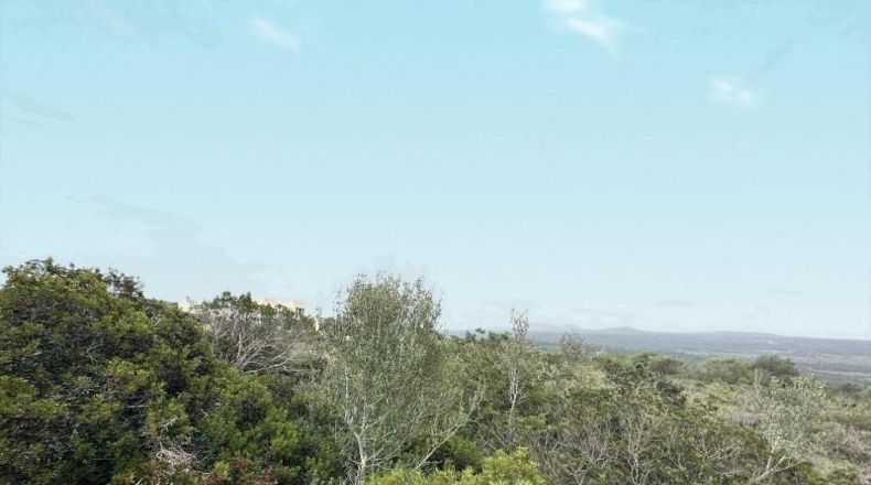 Balearic Islands - Urbanització Hort des Caülls - 7315m2
