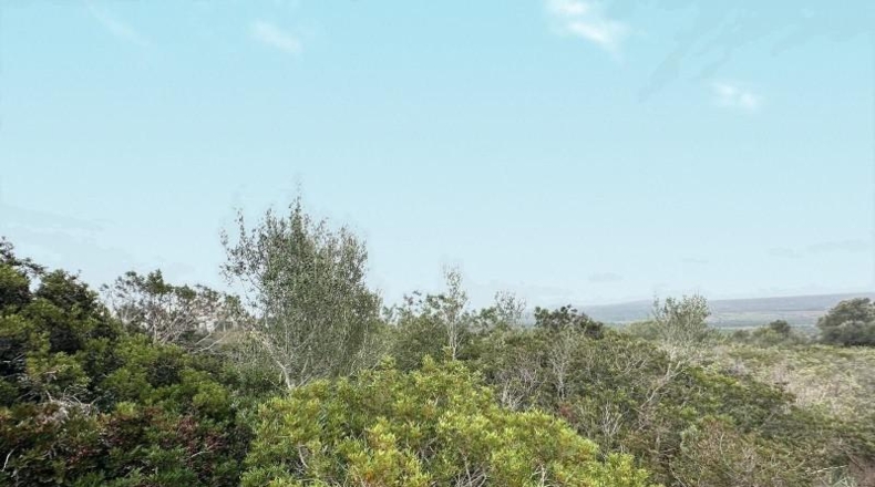Balearic Islands - Urbanització Hort des Caülls - 7315m2