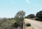 Urban land for sale on España, Marratxí, ref: TR218138 photo