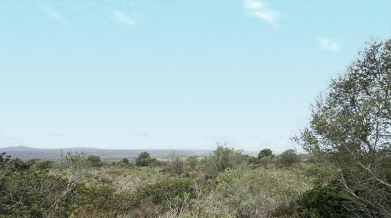 Balearic Islands - Urbanització Hort des Caülls - 7315m2