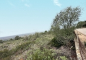 Urban land for sale on España, Marratxí, ref: TR218138 photo