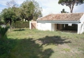 Parcela urbanizable en venta en la España, Marbella, ref: TR239120 foto