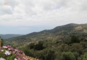 Rural estate for sale on España, Fornalutx, ref: TR294885 photo