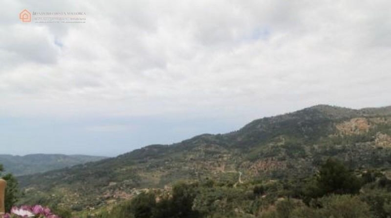 Illes Balears - Fornalutx - 15000m2