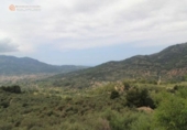 Rural estate for sale on España, Fornalutx, ref: TR294885 photo