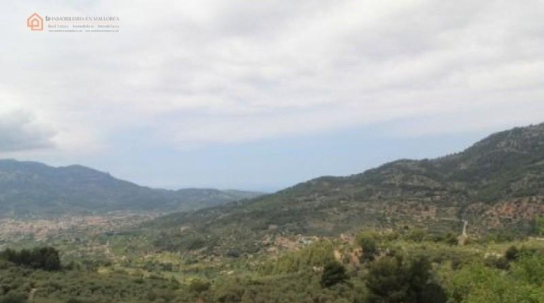 Illes Balears - Fornalutx - 15000m2