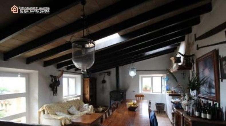Illes Balears - Fornalutx - 15000m2