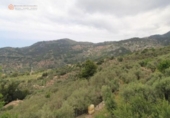 Rural estate for sale on España, Fornalutx, ref: TR294885 photo
