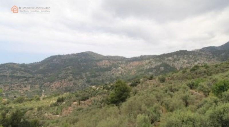 Illes Balears - Fornalutx - 15000m2