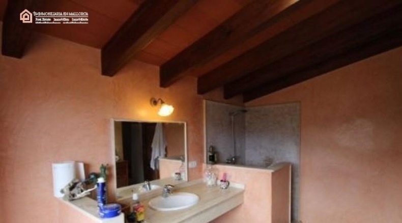 Illes Balears - Fornalutx - 15000m2