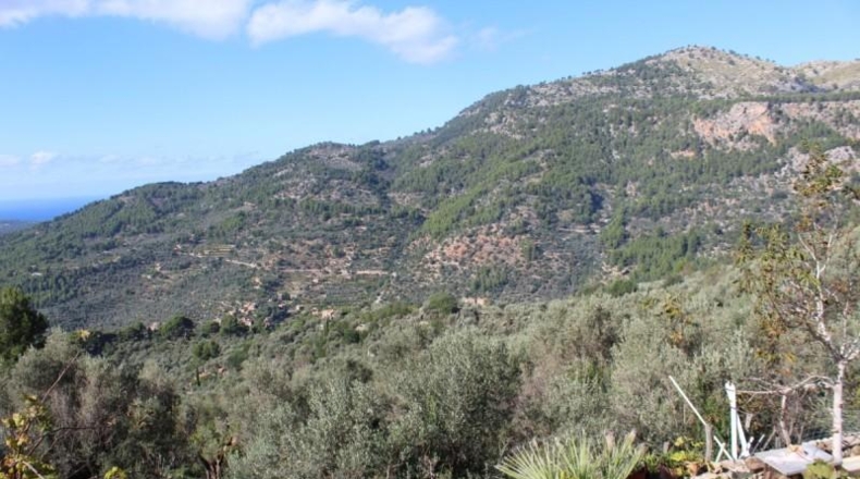 Islas Baleares - Fornalutx - 80000m2