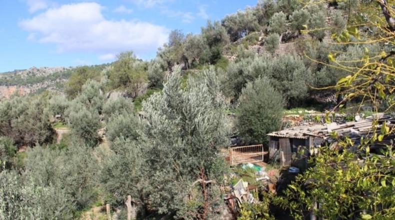 Islas Baleares - Fornalutx - 80000m2