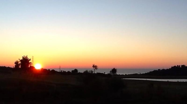 Málaga - Estepona - 1154m2