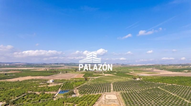 Alicante - Los Montesinos - 7700m2
