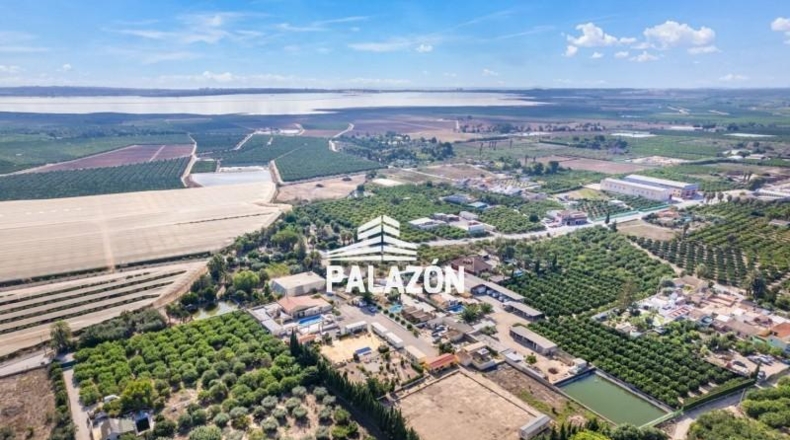 Alicante - Los Montesinos - 7700m2