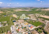 Xalet independent amb terreny en venda a la España, Los Montesinos, ref.: TR363038 foto