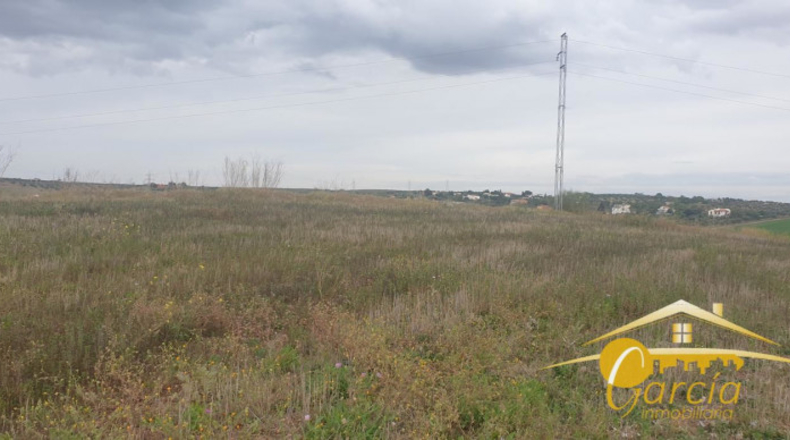 Badajoz - Mèrida - 66000m2