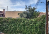 Chalet independiente con terreno en venta en la España, Madrid, ref: TR263027 foto