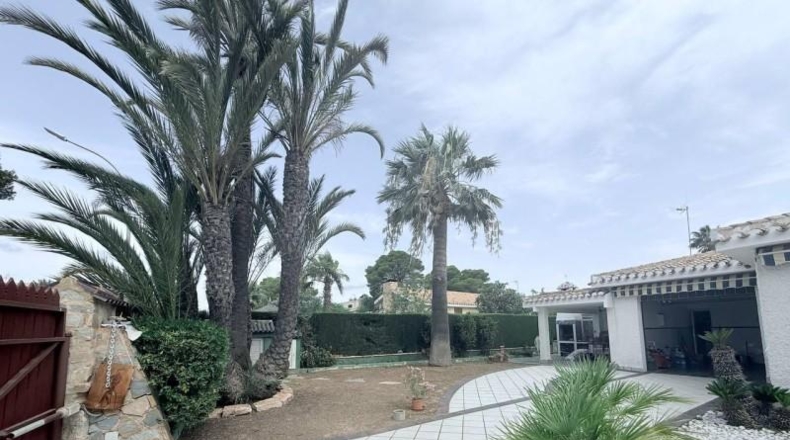 Alicante - Orihuela - 800m2