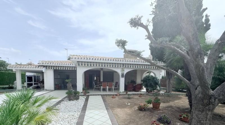 Alicante - Orihuela - 800m2