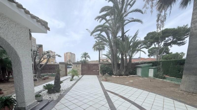 Alicante - Orihuela - 800m2