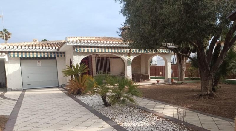 Alicante - Orihuela - 800m2