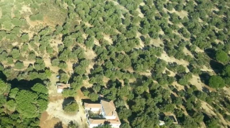 Cádiz - El Bosque - 133750m2