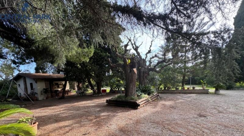Tarragona - Reus - 46693m2