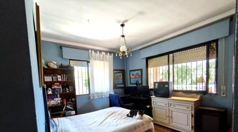 Málaga - Fuengirola - 650m2