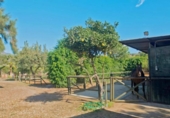 Finca rústica en venda a la España, Estepona, ref.: TR283873 foto