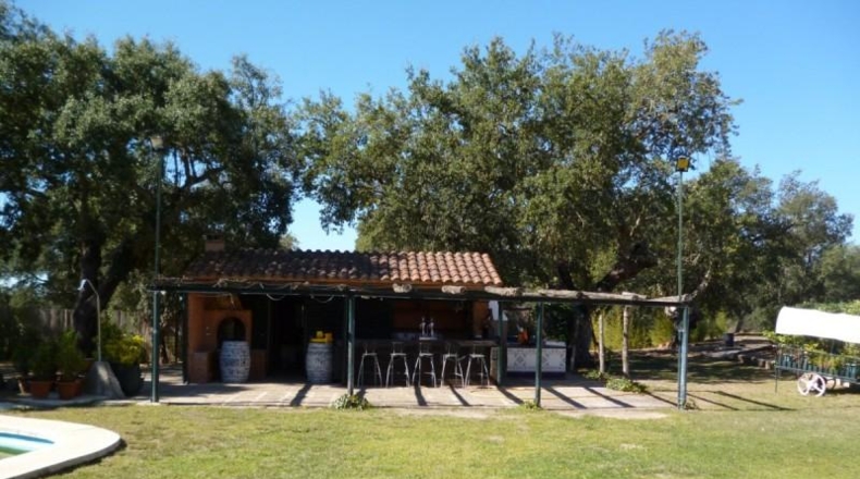 Badajoz - Badajoz - 56250m2