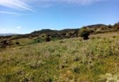 Xalet independent amb terreny en venda a la España, Casares, ref.: TR160177 foto